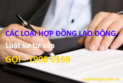Tư vấn Hợp đồng lao động, Loại HĐLĐ, nội dung HĐLĐ và thực hiện HĐLĐ